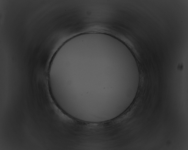 X0000091901478200710031152