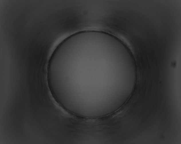 X0000091901480200710031152