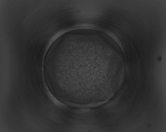 X0000091901482200710031152