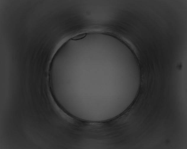 X0000091901483200710031152