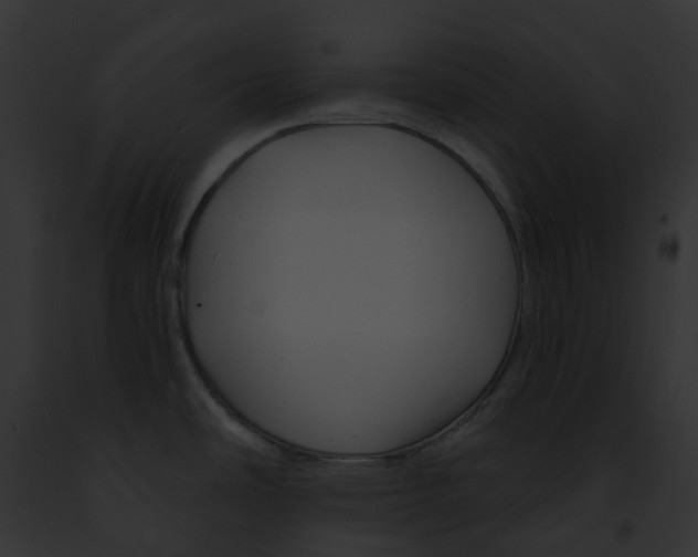 X0000091901486200710031152