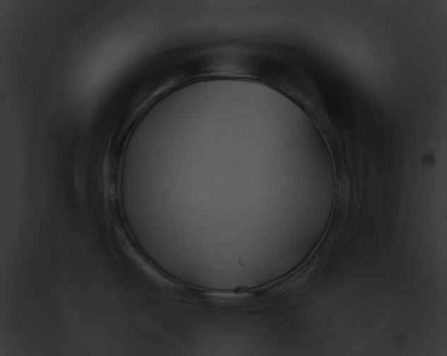 X0000091901487200710031152