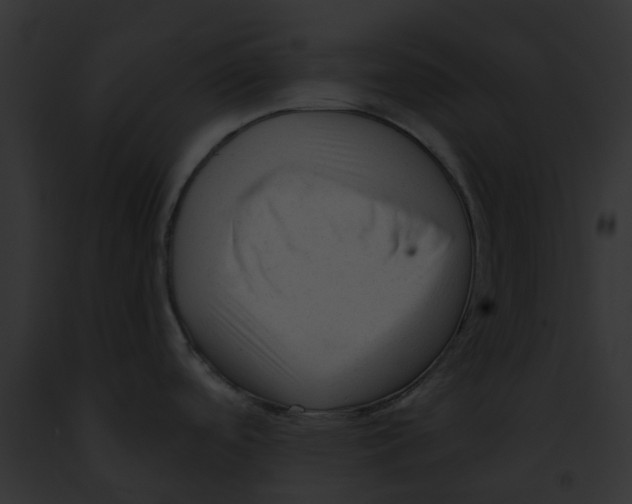 X0000091901488200710031152