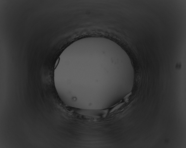 X0000091901490200710031151