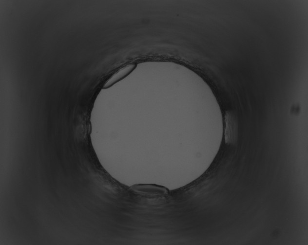 X0000091901491200710031151