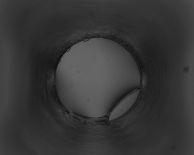 X0000091901492200710031151