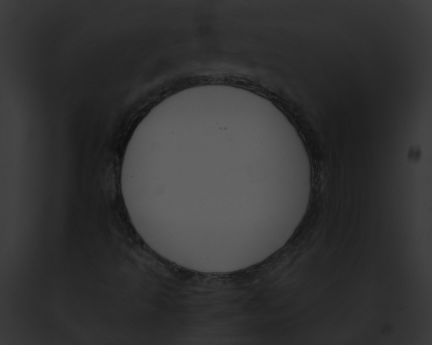 X0000091901493200710031151