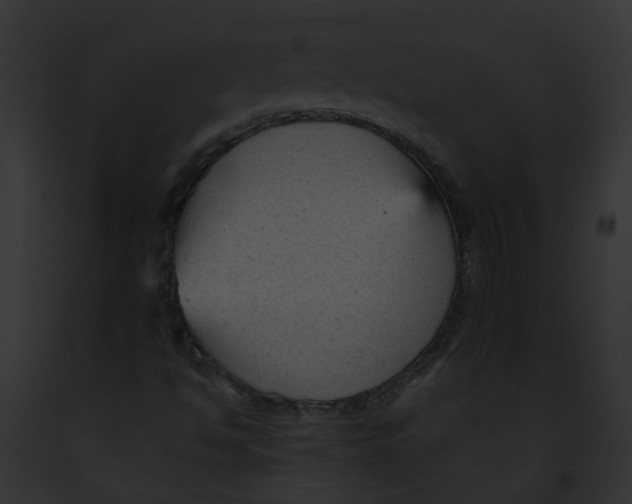 X0000091901494200710031151