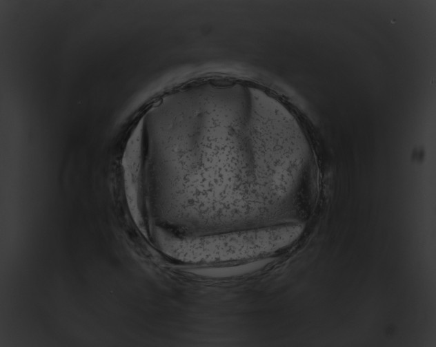 X0000091901496200710031151