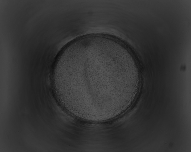 X0000091901497200710031151