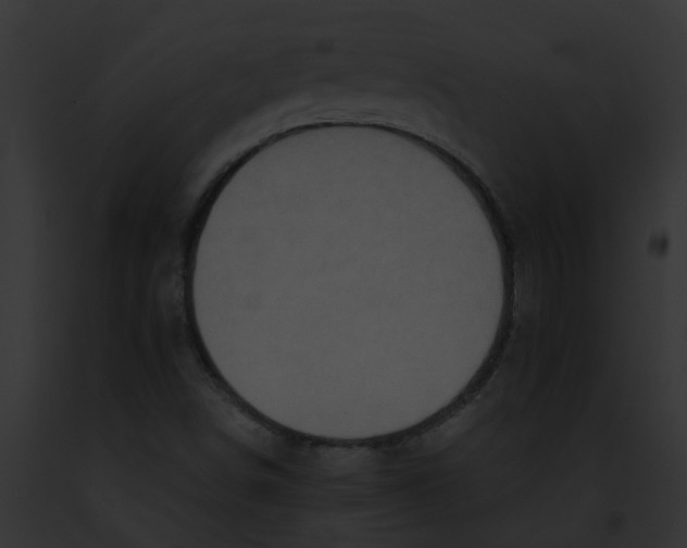 X0000091901498200710031151