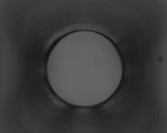 X0000091901499200710031151