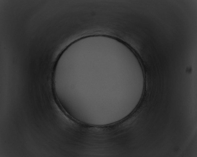 X0000091901500200710031151