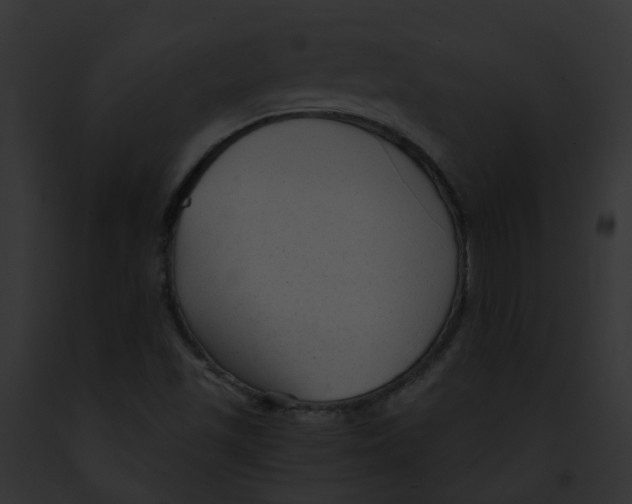 X0000091901501200710031151