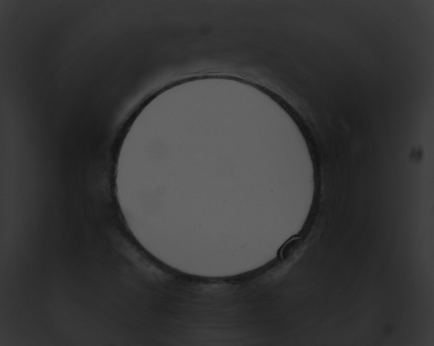 X0000091901502200710031151