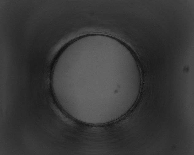 X0000091901503200710031151