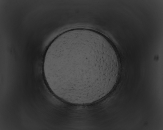 X0000091901504200710031151