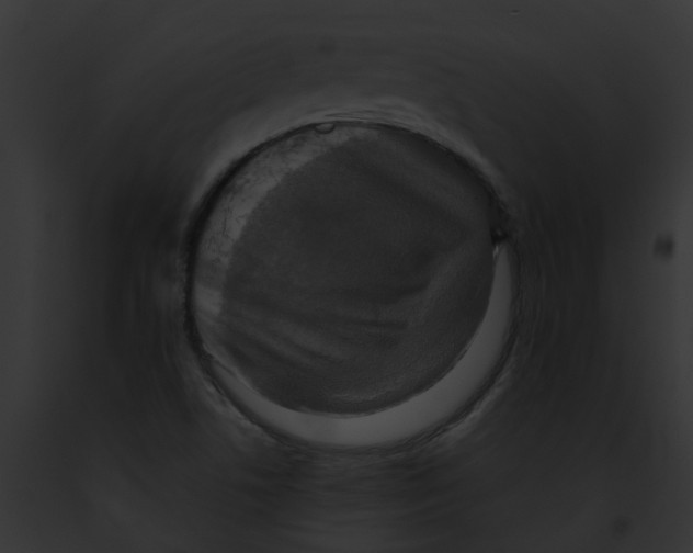 X0000091901506200710031151