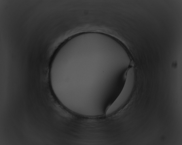 X0000091901507200710031151