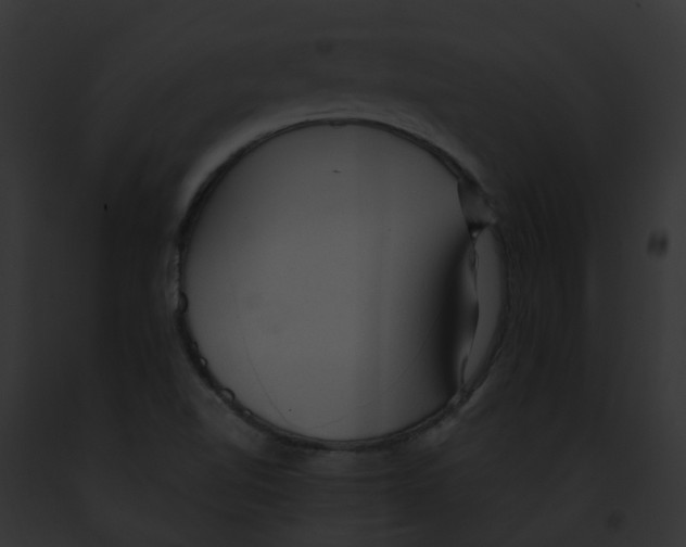 X0000091901510200710031151