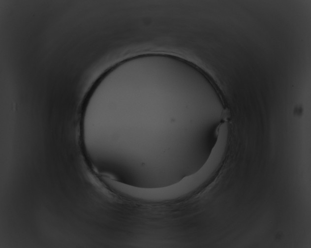 X0000091901511200710031151