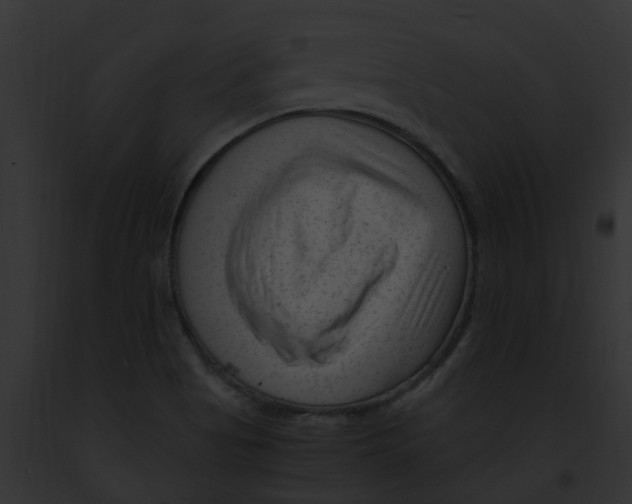 X0000091901513200710031151