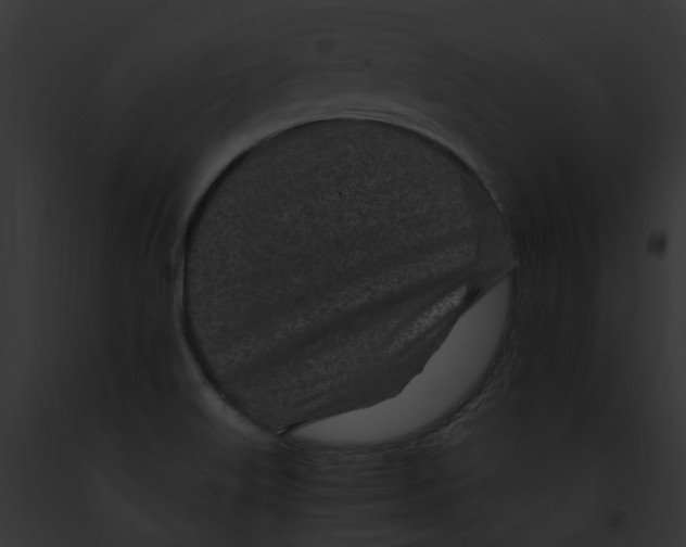 X0000091901515200710031151