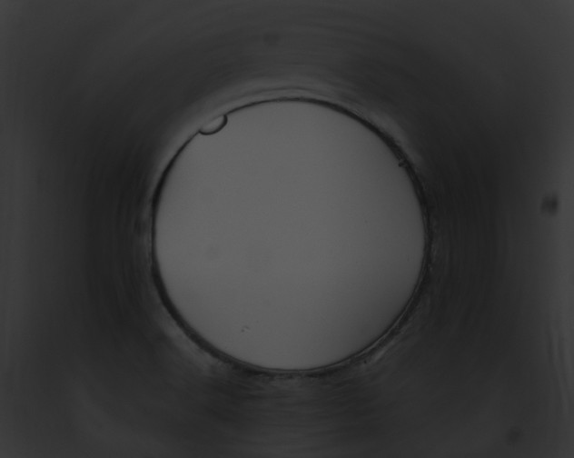 X0000091901516200710031152