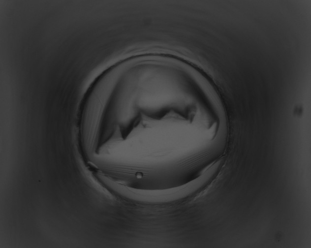 X0000091901518200710031152