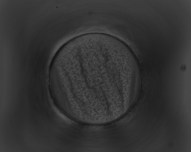 X0000091901519200710031152