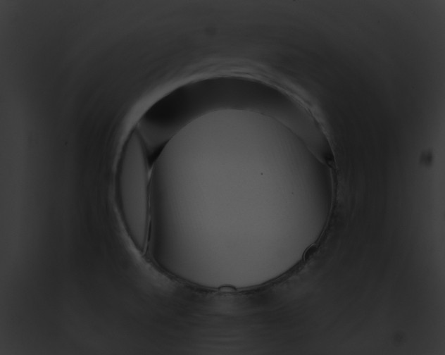 X0000091901520200710031152