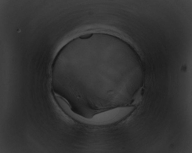 X0000091901522200710031152