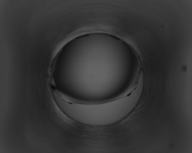 X0000091901524200710031152