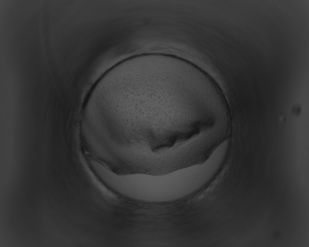 X0000091901525200710031152