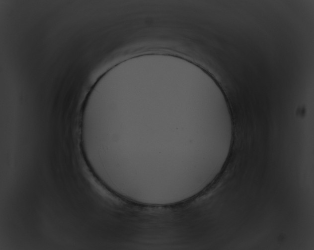 X0000091901526200710031152