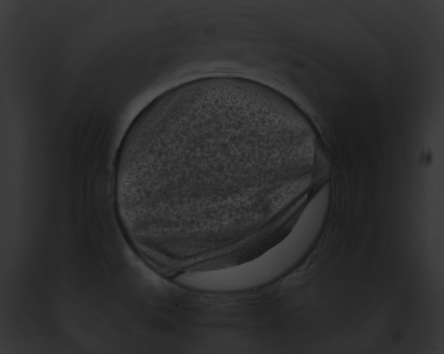 X0000091901527200710031152