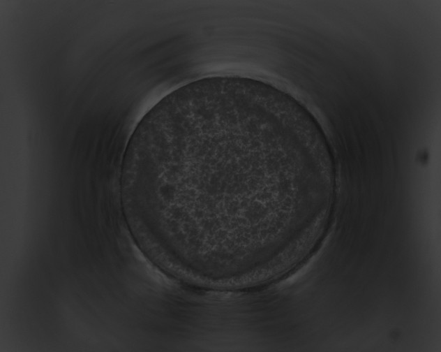 X0000091901529200710031152