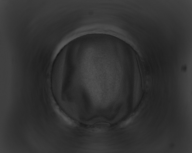 X0000091901530200710031152