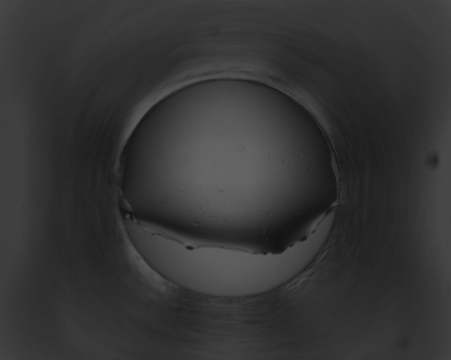 X0000091901532200710031152