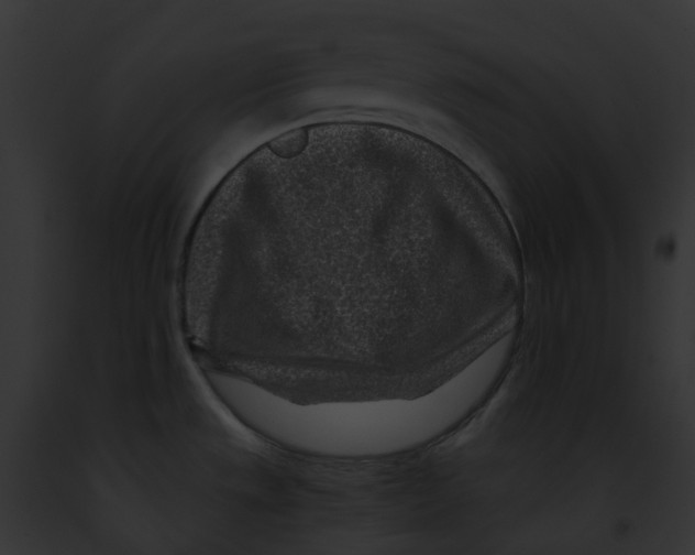 X0000091901533200710031152