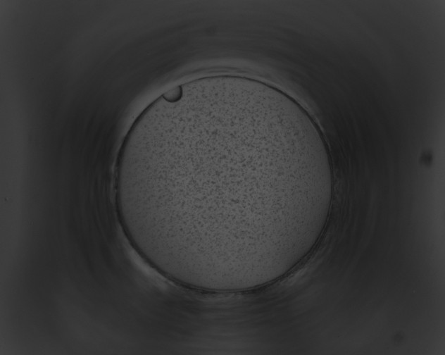 X0000091901535200710031152