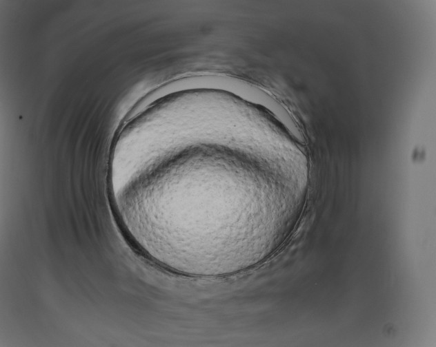 X0000091900003200710031831