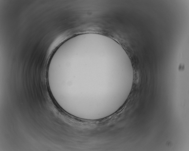 X0000091900004200710031831