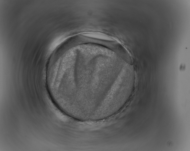 X0000091900005200710031831