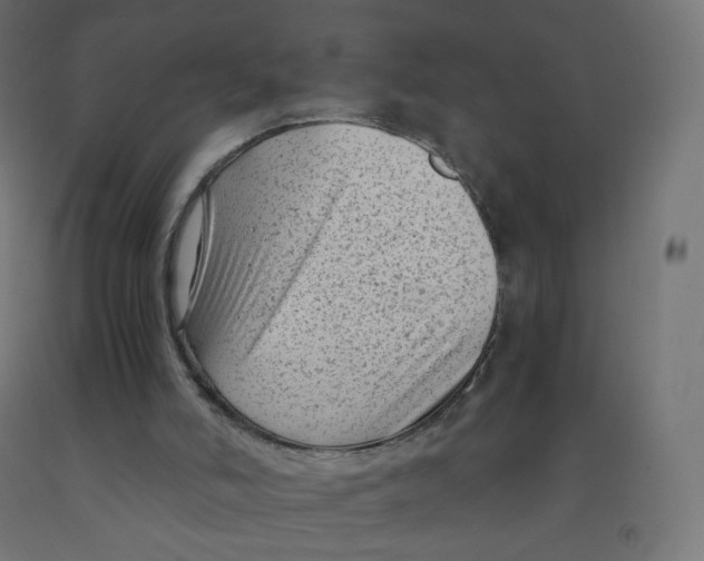 X0000091900006200710031831