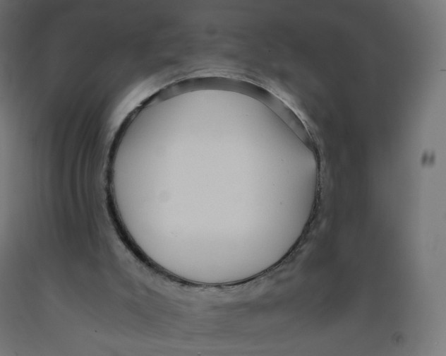 X0000091900007200710031831