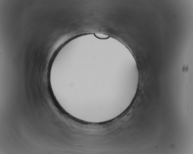 X0000091900008200710031831