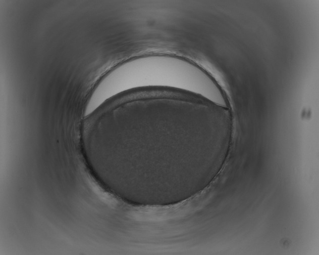 X0000091900009200710031831