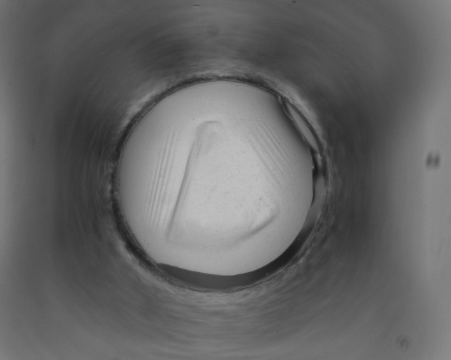 X0000091900010200710031831