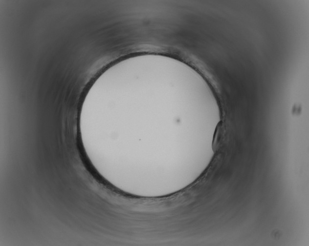 X0000091900011200710031831